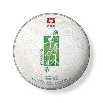 2013年大益 早春乔木 357克生茶七子饼